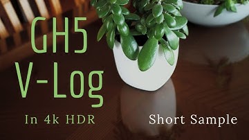 Lumix GH5 VLOG HDR 4k Short Sample