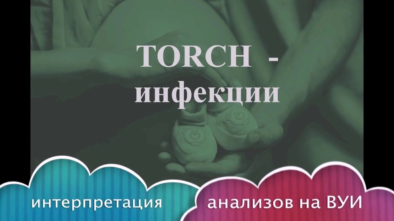 Анализы на ToRCH инфекции при планировании беременности