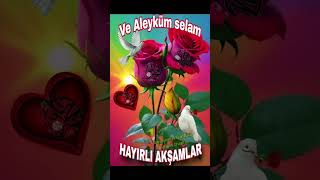🌹⛓️🌹🌿🌸¨¨˜”°º★🌿🌸﷽ 🌸🌹🤲ﷲAmîîîîîn Ya Rabbel🌹 Alemînﷲ🤲🌿