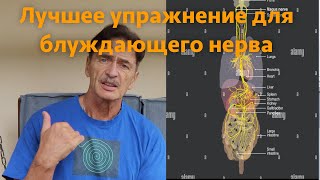 Лучшее упражнение для блуждающего нерва.  ВНИМАНИЕ! НОВОЕ ВИДЕО С ХОРОШИМ ЗВУКОМ! ВНИЗУ!