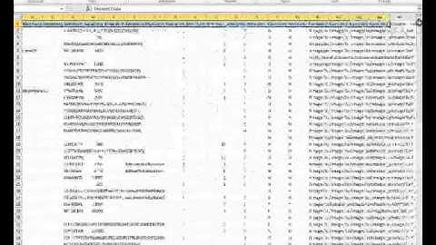 How Export all product data in Business Catalyst