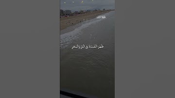 تلاوة عطرة لآيات من كتاب الله #القرآن_الكريم #اكسبلور #المصحف #foryou #راحة_نفسية #viral