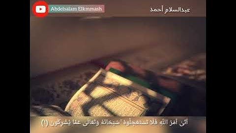 تلاوة من سورة النحل تراويح رمضان 2019