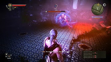 The Witcher 2 EE: Fighting Letho - The First Encounter (Dark Mode)