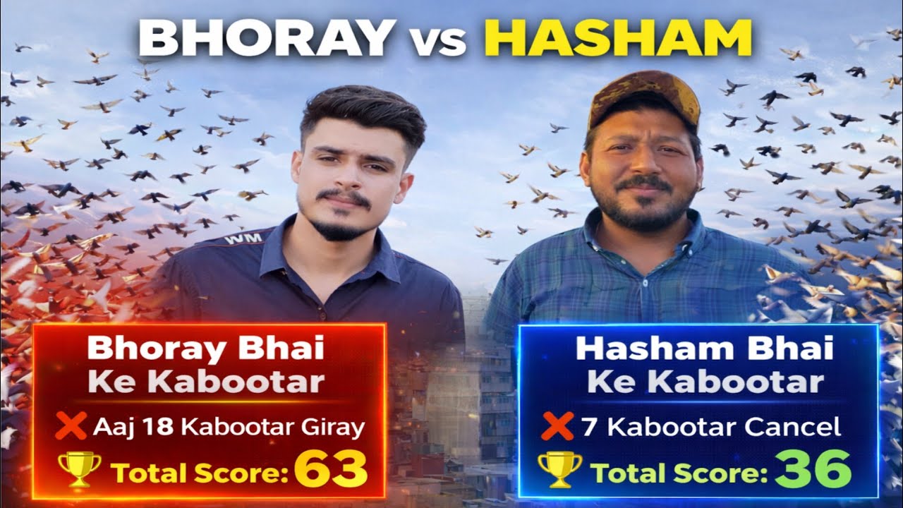 200+200 Kabootar Ka Muqabla 😱 | Bhoray Ke 18 Giray, Hasham Ke 7 Cancel | Final 63–36
