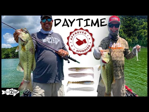 SWIMBAIT FISHING FOR BASS, Beginner And Advanced