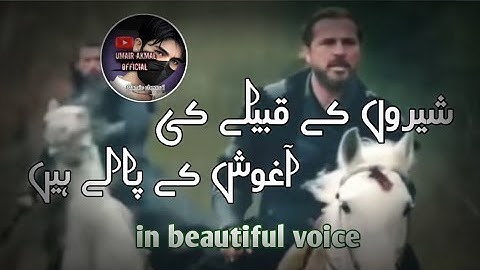 Sheron ke kabile ki aghoosh ke pale hain (Jihadi nazam) very beautiful voice (with lyrics)#naat#fyp 