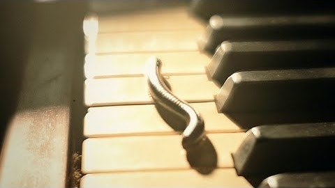 Anderson & Roe - THE RITE OF SPRING (9 of 10) - Rituals of the Ancestors