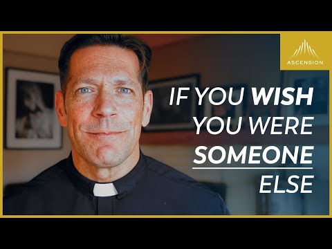 Comparison: The Great Distraction | 28th February 2024