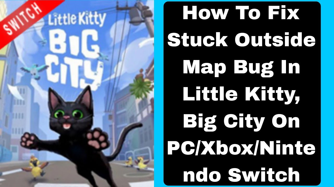 Fixit kitty