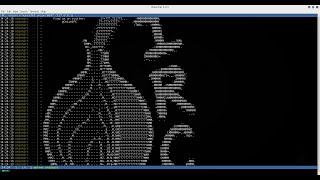 Connect to Onion IRC with docker
