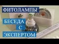 Фитолампы. Беседа с экспертом.