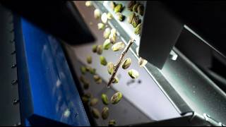 Copy of Qcify AIR Pistachios 2026