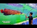 Exploring Biggest Aquarium in India | You Must Visit This Place in Kerala