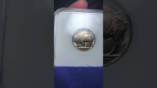 Can you guess the grade on these Buffalo Nickels #shorts #rarecoins #ngc #coincollecting