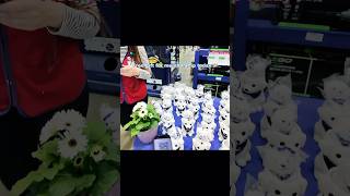 Lowes on Saturday #free #fyp #fyi #lowes #weekend #meta #rayban