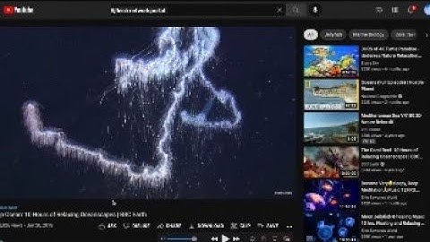 sjfleish - oceans (11) 🌊