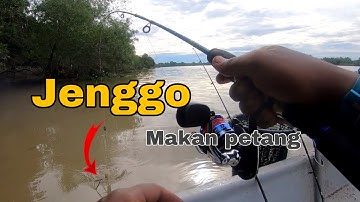 Vlog #22 Trip mancing udang galah || jenggo di sungai perak, Teluk intan. Trip udang maggi