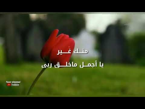 صباح الخير حالات واتساب للفنان راشد الماجد