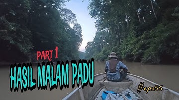 tahan tajur ikan baung / tengok tajur tengah malam hasil padu mantap/part 1/#eps56