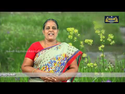 2nd Std KALVI TV Video - சூழ்நிலையியல் | நம்மைச் சுற்றியுள்ள தாவரங்கள் | அலகு 3