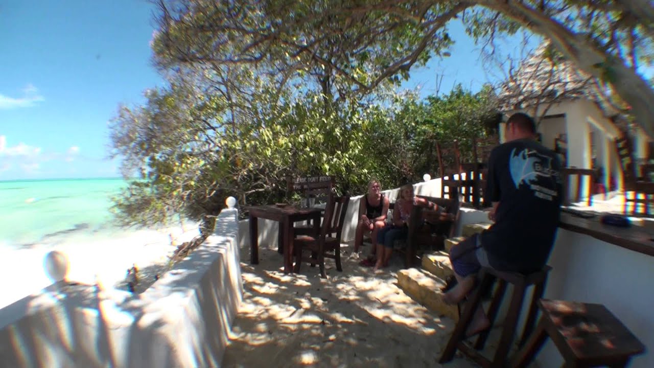 red monkey lodge jambiani beach zanzibar youtube free videographer