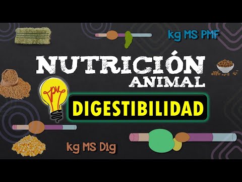 🌾 NUTRICIÓN ANIMAL 📌DIGESTIBILIDAD 📌APARENTE Y REAL - FÓRMULAS - Resumen simple