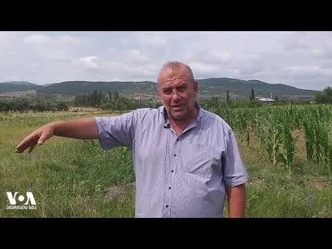 ოკუპირებული, თუ არაოკუპირებული? - დაბნეული საჯარო რეესტრი