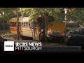 School bus crashes into tree in Highland Park