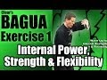 Clears bagua exercise 1 for internal power strength  flexibility