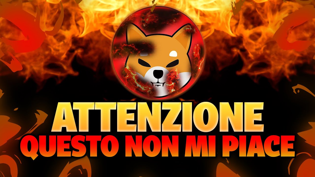 Ritratto Del Primo Piano Nel Cane Di Inu Di Shiba Di Profilo, Fondo