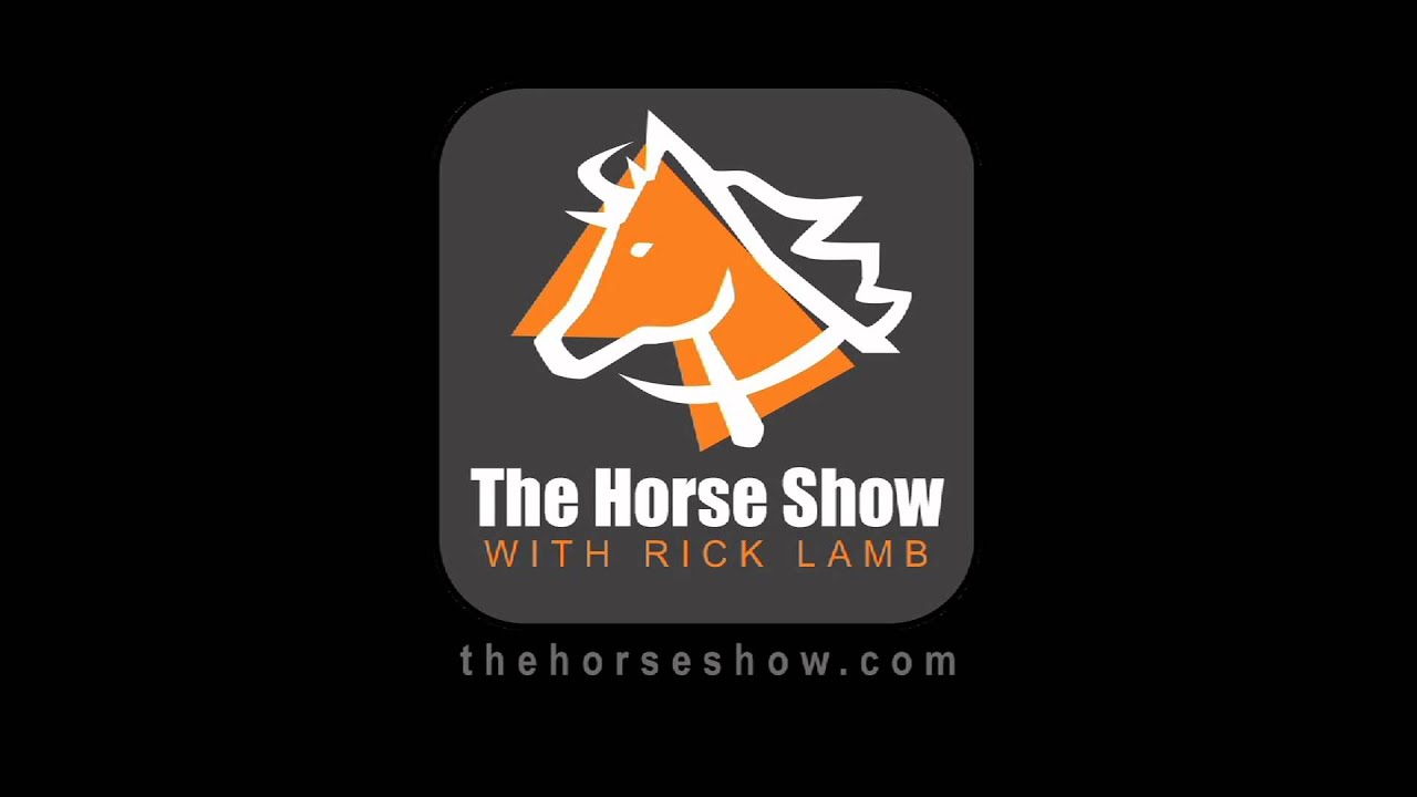 State-of-the-art equine hospital