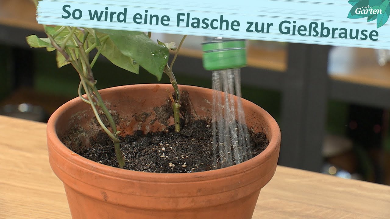 Mini-Gießkanne aus PET-Flasche basteln - für Pflanzen-Anzucht und Zimmergarten