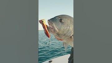 EPIC GIANT TREVALLY Fishing! | Testing GT tackle at a remote coral reef (Nomad Odyssey - Episode 3)