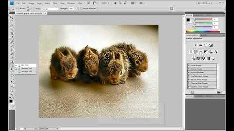 Photoshop CS4 Tutorial: Blur / Sharpen / Smudge Tools