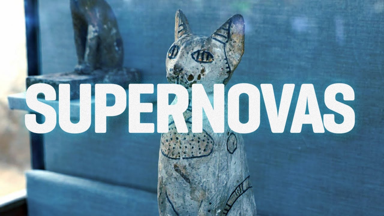 Tumba egípcia guardava dezenas de múmias de gatos há 6 mil anos gatos translation
