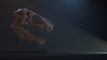 Life-Sized Tyrannosaurus rex "Maximus" Skull – 3D Model for 3D Printing