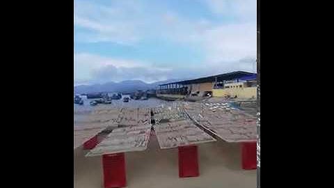 #WELOVENHATRANG | CẢNG CÁ LƯƠNG SƠN