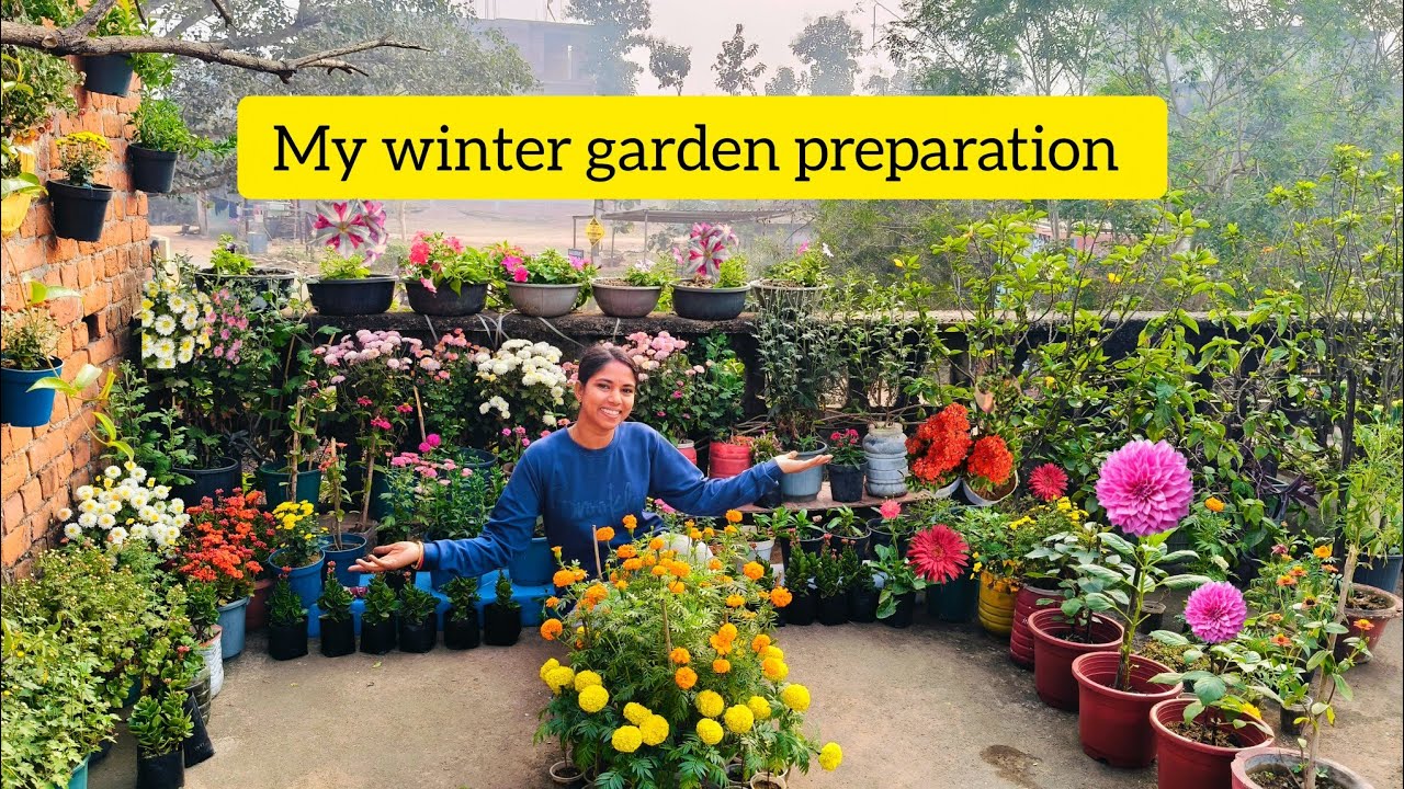 Winter Garden Preparation & Setup | How to prepare your garden in winter ❄️🌿#rosy's jannat garden 🏡