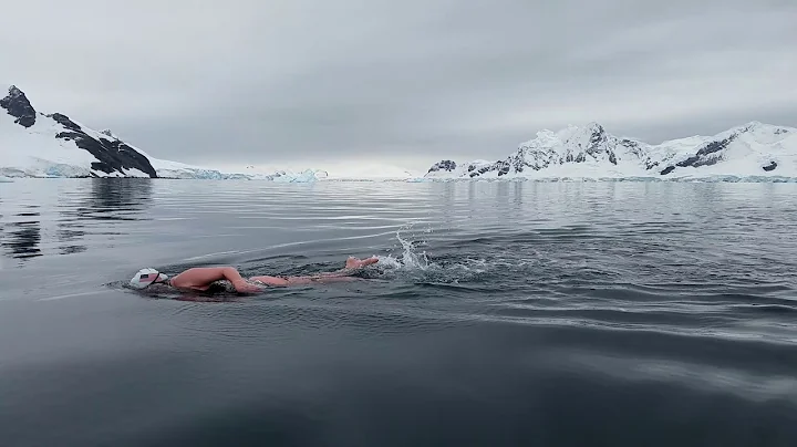 Jaimie Monahan Antarctica Ice Mile Swim with Pengu...