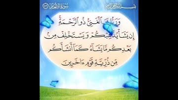 سورة الأنعام الآية ( 133 )