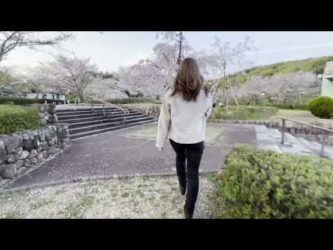 [ASMR] のんびり春の公園を散歩してみた🌸