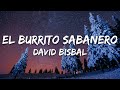 David Bisbal El Burrito Sabanero Letra Lyrics 