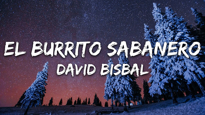 David Bisbal - El Burrito Sabanero (Letra/Lyrics)