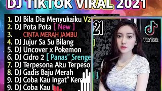 DJ OLD VIRAL TIKTOK 2021 FULL ALBUM DJ BILA DIA MENYUKAIMU DJ POTA POTA
