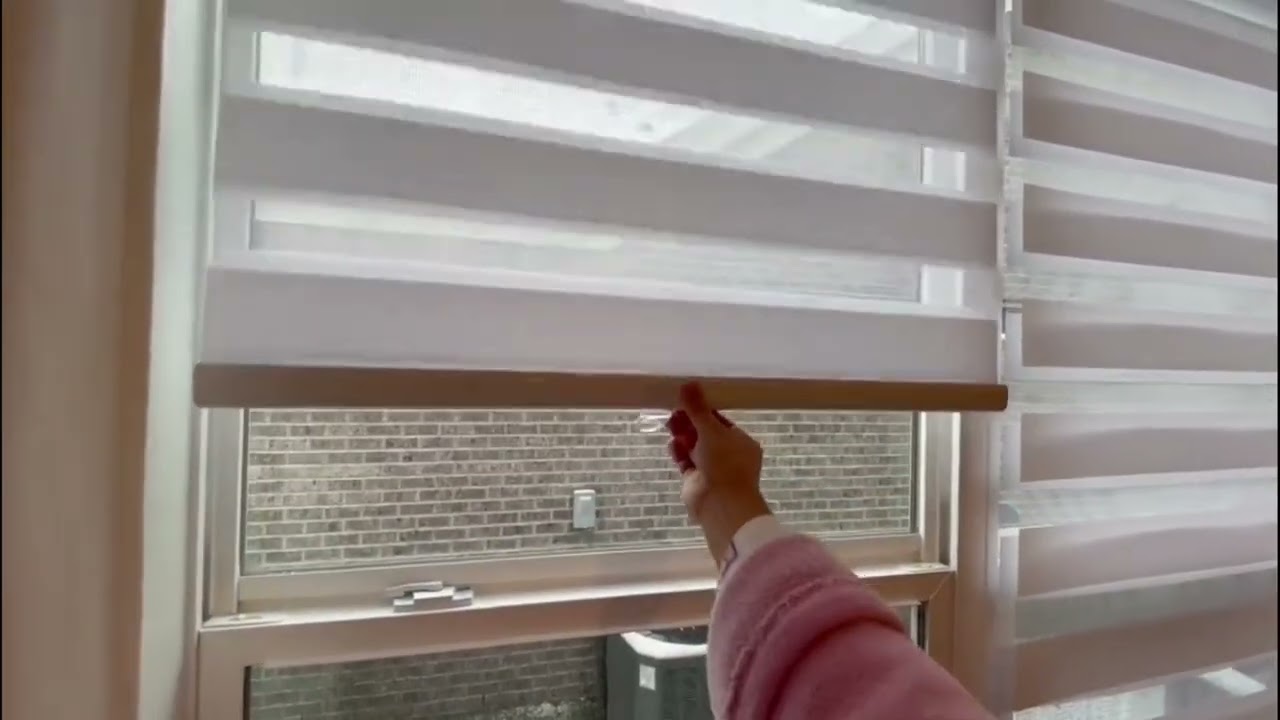 AOSKY Zebra Blinds Windows Roller Shades for Window