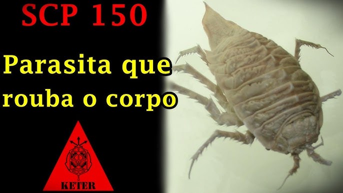 SCP 055 - O SCP DESCONHECIDO 