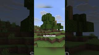 This Feature Is Insane