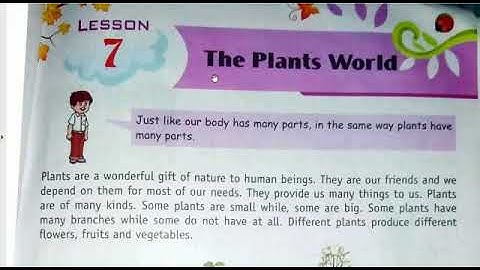 Class 4 chapter 7.The plants world EVS part 1