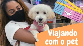 VIAJANDO DE AVIÃO COM MINHA CACHORRA| VLOG ✈️